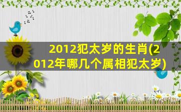 2012犯太岁的生肖(2012年哪几个属相犯太岁)