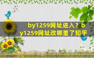 by1259网址进入？by1259网址改哪里了知乎