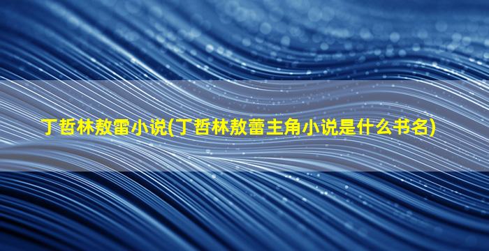 丁哲林敖雷小说(丁哲林敖蕾主角小说是什么书名)