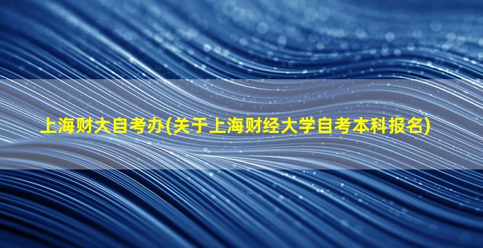 上海财大自考办(关于上海财经大学自考本科报名)
