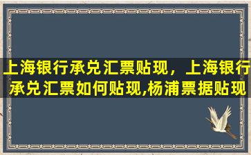 上海银行承兑汇票贴现，上海银行承兑汇票如何贴现,杨浦票据贴现哪里有