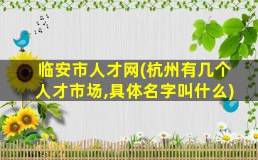 临安市人才网(杭州有几个人才市场,具体名字叫什么)