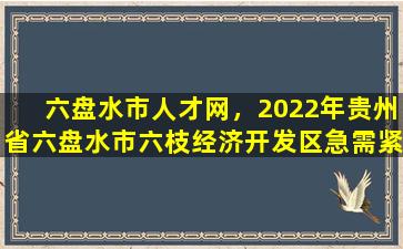 六盘水市人才网，2022年贵州省六盘水市六枝经济开发区急需紧缺人才引进公告