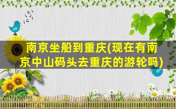 南京坐船到重庆(现在有南京中山码头去重庆的游轮吗)