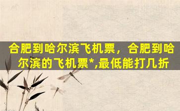 合肥到哈尔滨飞机票，合肥到哈尔滨的飞机票*,最低能打几折