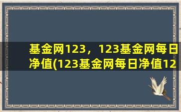 基金网123，123基金网每日净值(123基金网每日净值123基金网)