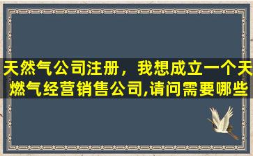 天然气*注册，我想成立一个天燃气经营销售*,请问需要哪些条件!
