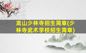 嵩山少林寺招生简章(少林寺武术学校招生简章)