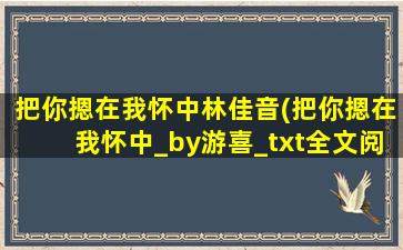 把你摁在我怀中林佳音(把你摁在我怀中_by游喜_txt全文阅读,百度网盘免费下载)