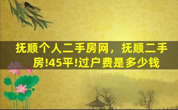 抚顺个人二手房网，抚顺二手房!45平!过户费是*