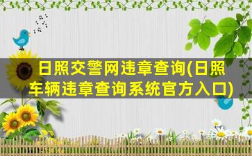 日照交警网违章查询(日照车辆违章查询系统官方入口)
