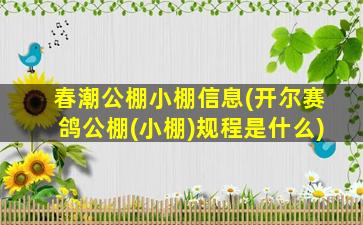 春潮公棚小棚信息(开尔赛鸽公棚(小棚)规程是什么)