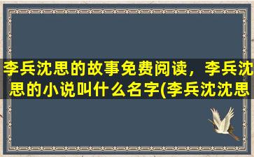 李兵沈思的故事免费阅读，李兵沈思的小说叫什么名字(李兵沈沈思)
