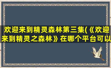 欢迎来到精灵森林第三集(《欢迎来到精灵之森林》在哪个平台可以看)
