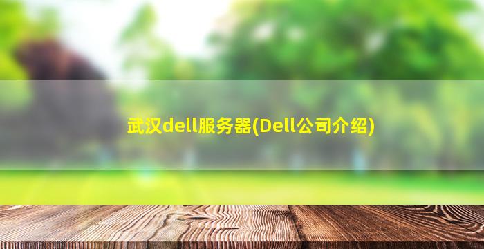 武汉dell服务器(Dell*介绍)
