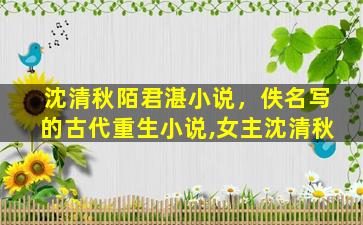 沈清秋陌君湛小说，佚名写的古代重生小说,*沈清秋