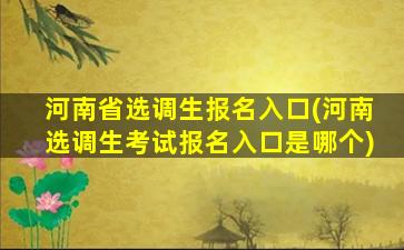 河南省选调生报名入口(河南选调生考试报名入口是哪个)