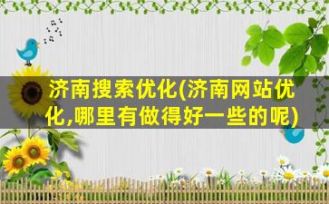 济南搜索优化(济南网站优化,哪里有做得好一些的呢)