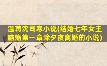 温苒沈司寒小说(结婚七年*脑癌第一章除夕夜离婚的小说)