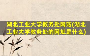 湖北工业大学教务处网站(湖北工业大学教务处的网址是什么)