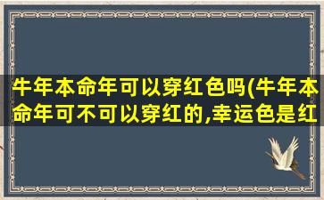 牛年本命年可以穿红色吗(牛年本命年可不可以穿红的,幸运色是红色吗)