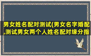 男女姓名配对测试(男女名字婚配,测试男女两个人姓名配对缘分指数)
