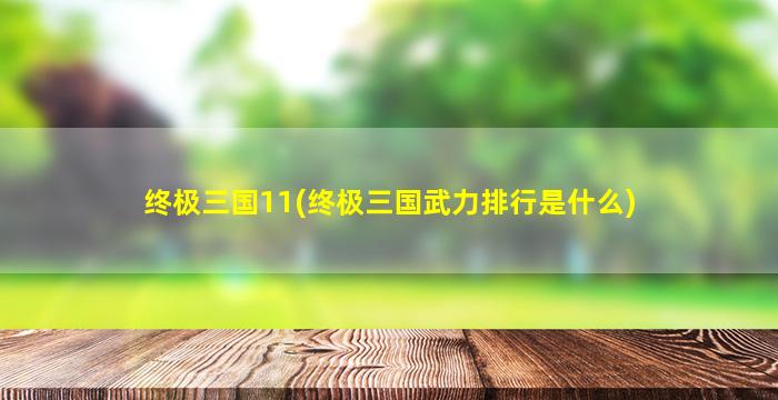 终极三国11(终极三国武力排行是什么)
