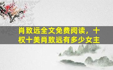肖致远全文免费阅读，十权十美肖致远有多少*