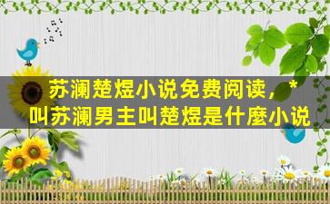 苏澜楚煜小说免费阅读，*叫苏澜男主叫楚煜是什麼小说插图