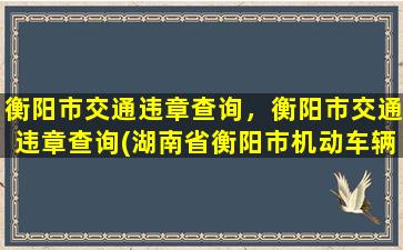 衡阳市交通违章查询，衡阳市交通违章查询(湖南省衡阳市机动车辆违章查询)