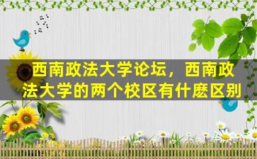西南政法大学论坛，西南政法大学的两个校区有什麽区别
