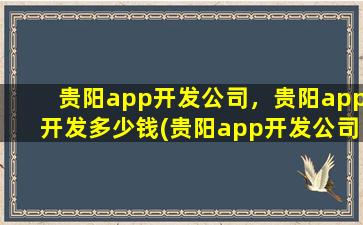 贵阳app开发*，贵阳app开发*(贵阳app开发*排名)