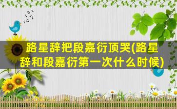 路星辞把段嘉衍顶哭(路星辞和段嘉衍第一次什么时候)