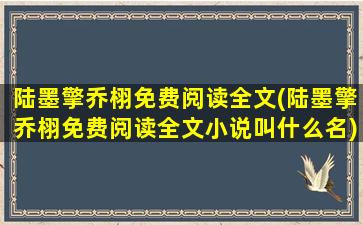 陆墨擎乔栩免费阅读全文(陆墨擎乔栩免费阅读全文小说叫什么名)