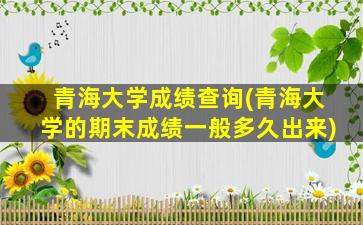 青海大学成绩查询(青海大学的期末成绩一般多久出来)
